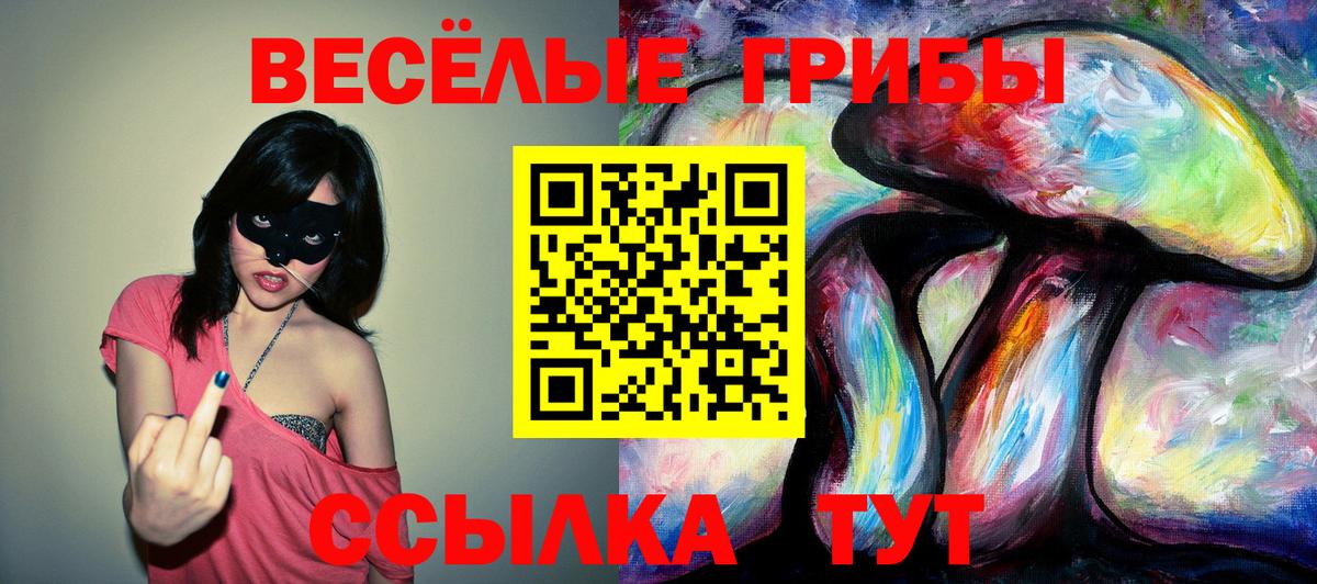 Галлюциногенные грибы Psilocybine cubensis  Псилоцибиновые грибы Psilocybine cubensis  Муром  Вход с VPN 