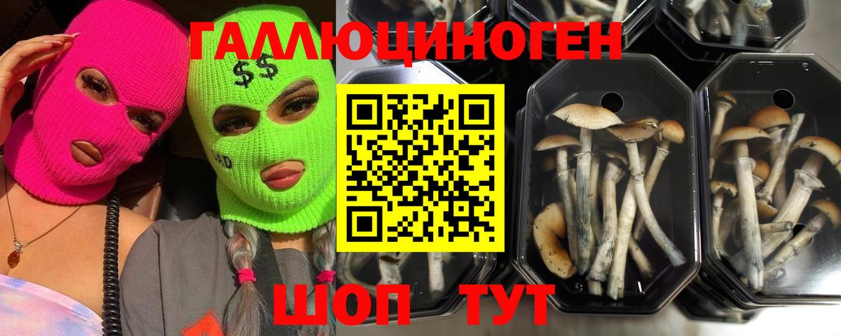 Псилоцибиновые грибы Magic Shrooms Муром